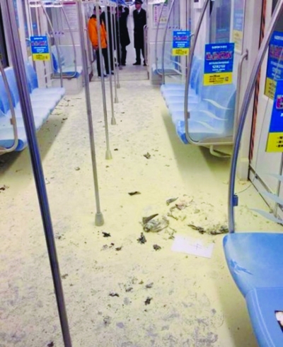 南京地鐵行駛中突然冒煙躥出火苗 肇事乘客稱錯帶化學(xué)品