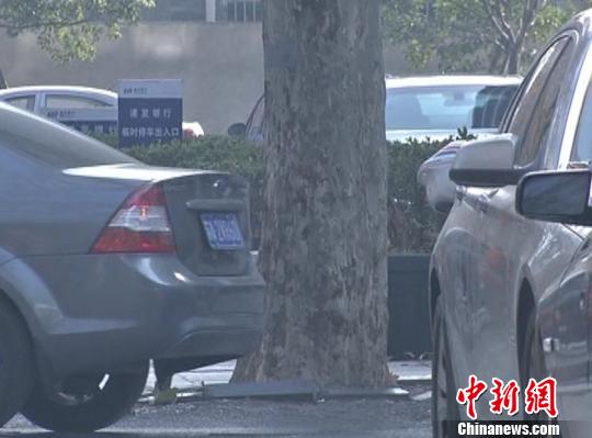 南京“梅花樁”連夜被拆 違停車輛“死灰復(fù)燃”