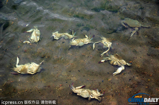 安監(jiān)總局:青島燃爆事故暴露應急處置不力等問題
