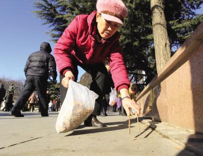73歲“煙頭大姐”走紅網(wǎng)絡(luò) 不到1年撿3.1萬個(gè)煙頭
