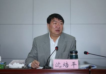 云南原副省長(zhǎng)沈培平的學(xué)歷之謎：博士到教授僅花5個(gè)月