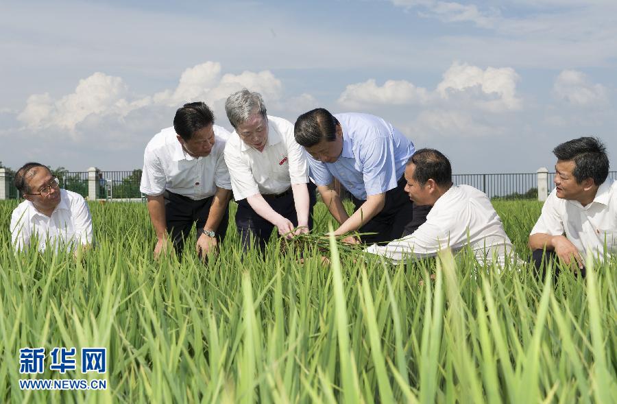 中國(guó)日?qǐng)?bào)網(wǎng)年終特別策劃：2013年，習(xí)近平的中國(guó)足跡[組圖]