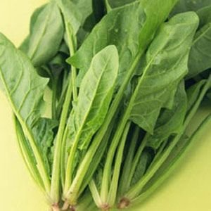 30種神奇的抗衰老食物！