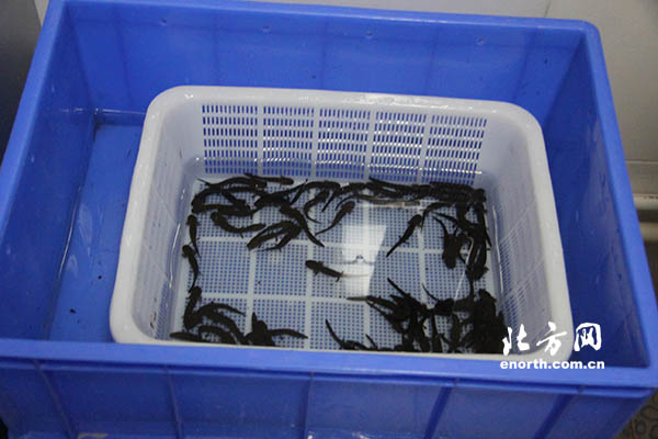 南水北調問水行：移民搬遷 樂享城鎮(zhèn)化碩果