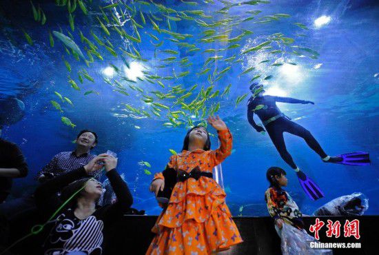 天津游客夜宿海洋館 體驗(yàn)與魚(yú)共眠（全文）