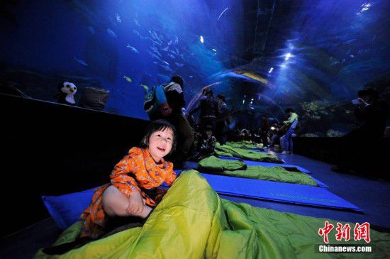 天津游客夜宿海洋館 體驗(yàn)與魚(yú)共眠（全文）