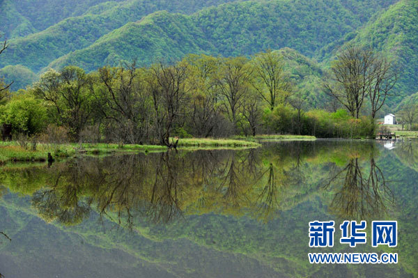 神農(nóng)架高山濕地大九湖掠影