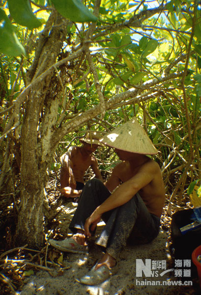 珍貴！1991年西沙科考海量歷史照