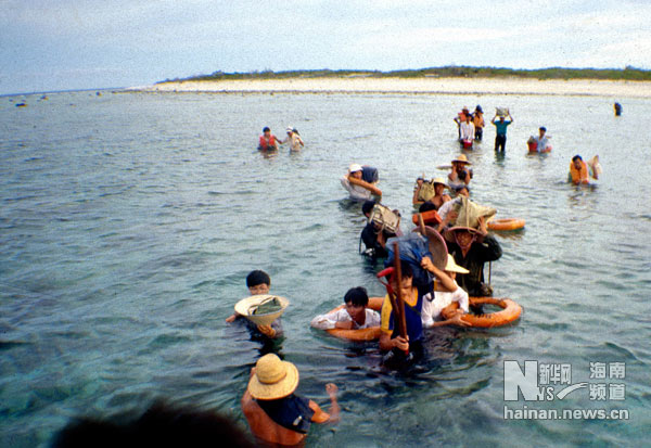 珍貴！1991年西沙科考海量歷史照