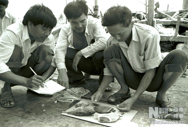 珍貴！1991年西沙科考海量歷史照
