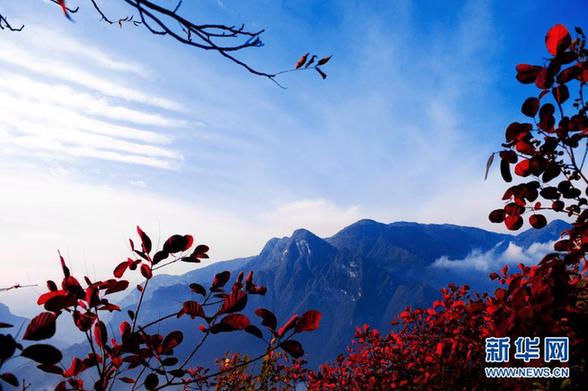 又到三峽紅葉時(shí)