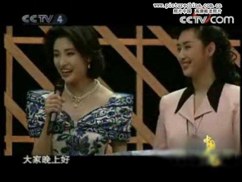 趙忠祥羅京白巖松 央視主播年輕照曝光！