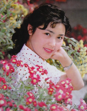 春晚記憶！春晚當家花旦驚艷寫真