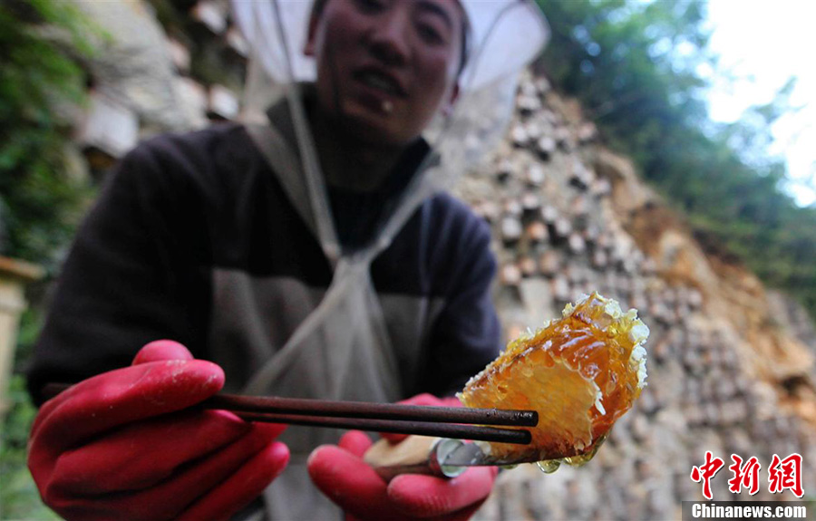 神奇！探秘奇特的神農(nóng)架