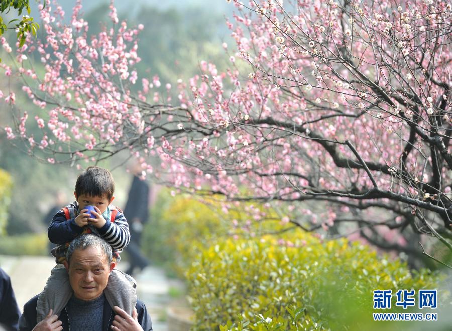 “花開意盎然，雀鳥上枝頭”：聽！春天的腳步聲