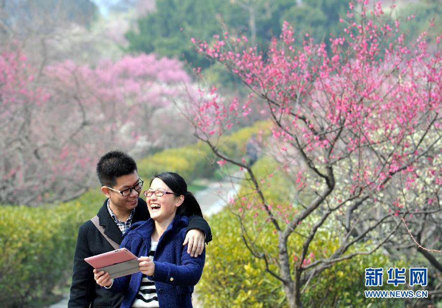“花開意盎然，雀鳥上枝頭”：聽！春天的腳步聲