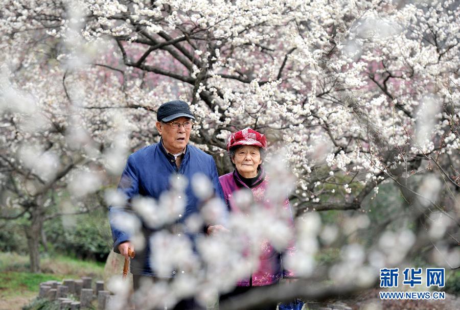 “花開(kāi)意盎然，雀鳥(niǎo)上枝頭”：聽(tīng)！春天的腳步聲