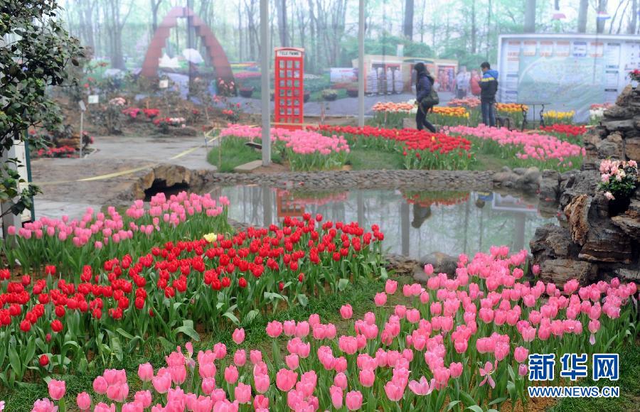 “花開意盎然，雀鳥上枝頭”：聽！春天的腳步聲