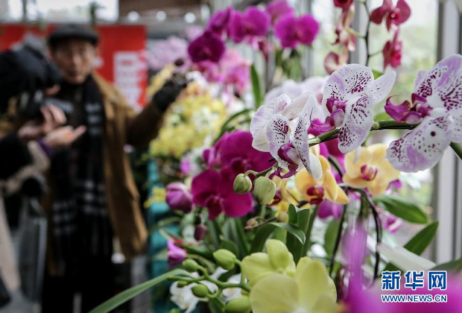 “花開意盎然，雀鳥上枝頭”：聽！春天的腳步聲