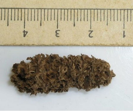 十個(gè)迄今發(fā)現(xiàn)的最古老物體：7000年石制面具