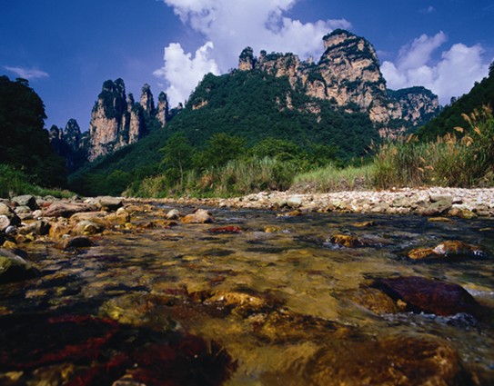 搶購“自由旅神” 千人免票暢游張家界