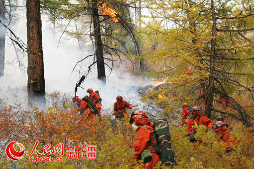 新疆森林武警忠誠(chéng)守護(hù)廣袤林海造福駐地各族群眾