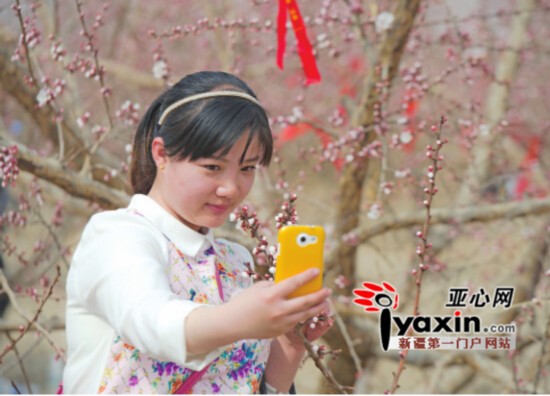 新疆托克遜縣萬(wàn)畝杏花香 周末兩天迎客達(dá)8萬(wàn)