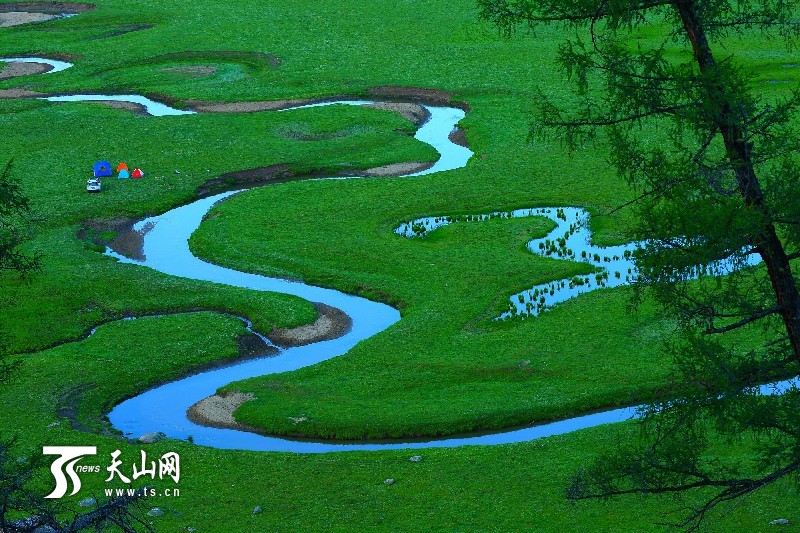 新疆哈巴河縣齊巴爾鄉(xiāng)夏牧場風景如畫