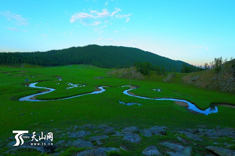 新疆哈巴河縣齊巴爾鄉(xiāng)夏牧場(chǎng)風(fēng)景如畫(huà)