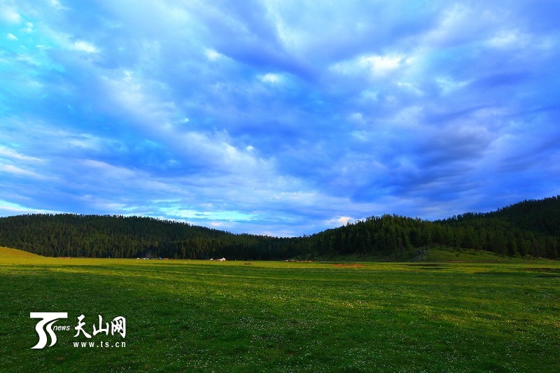 新疆哈巴河縣齊巴爾鄉(xiāng)夏牧場(chǎng)風(fēng)景如畫