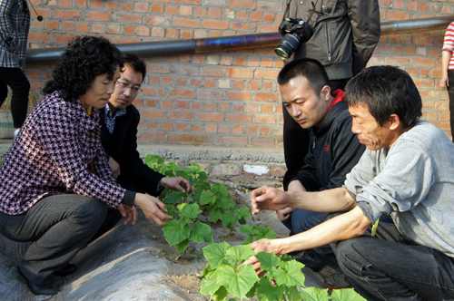 山西農(nóng)業(yè)專家萬里援疆到新疆兵團(tuán)第六師共青團(tuán)農(nóng)場傳技術(shù)