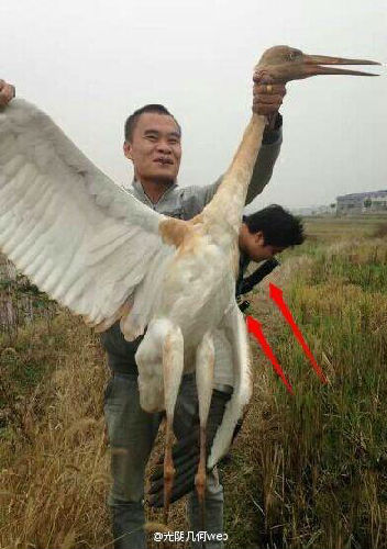 男子炫耀在西藏獵殺野生保護(hù)動物引眾怒