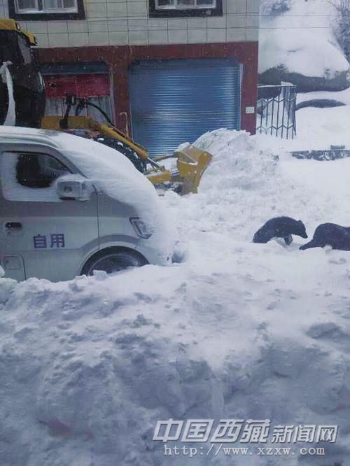 日喀則市強(qiáng)降雪預(yù)警升級(jí)為橙色