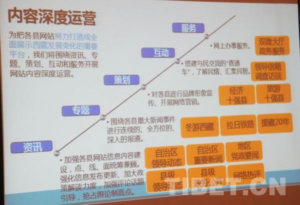 西藏74個(gè)縣級(jí)政府集體“觸網(wǎng)”