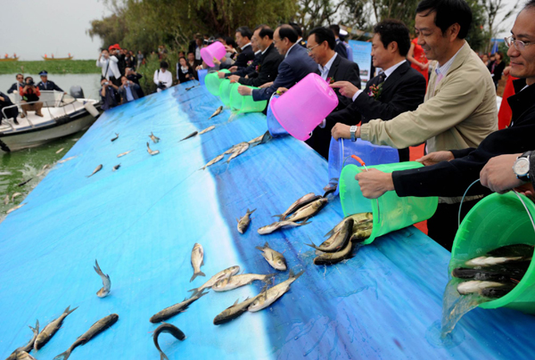 云南放流滇池10余萬(wàn)尾魚(yú) 改善滇池水域生態(tài)環(huán)境