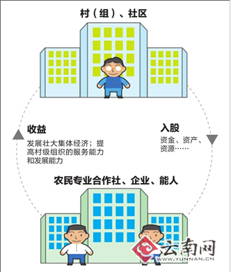 云南省1468個(gè)村（組）開(kāi)展強(qiáng)基惠農(nóng)“合作股份”工作