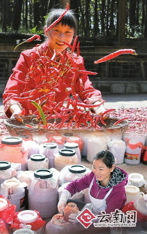云南省1468個(gè)村（組）開(kāi)展強(qiáng)基惠農(nóng)“合作股份”工作