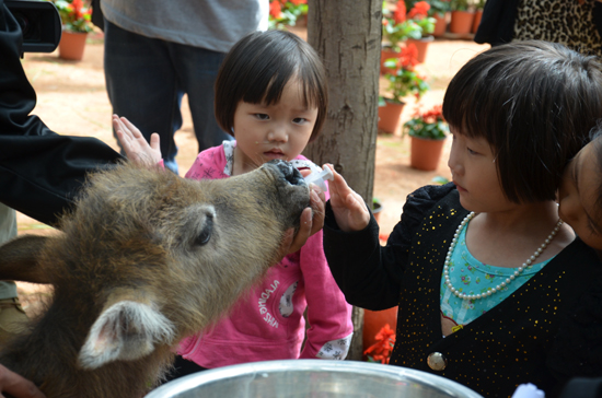 云南野生動(dòng)物園“召開”六一活動(dòng)檢閱會(huì)
