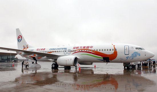 東航云南公司引進(jìn)全新彩繪飛機扮靚云嶺天空