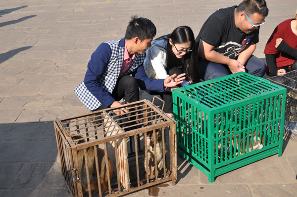云南野生動物園啟動最大規(guī)模放生活動 前往普洱放生