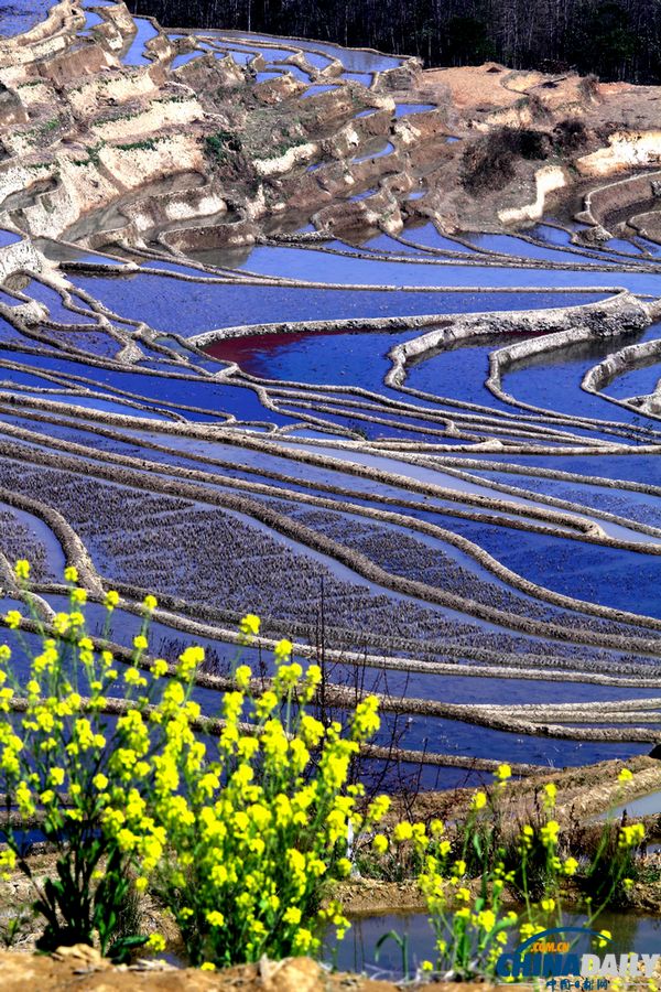 云南元陽(yáng)自駕攝影之旅：哈尼梯田三月春夢(mèng)幻