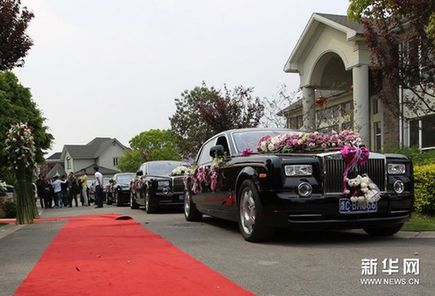 豪華婚車(chē)隊(duì)