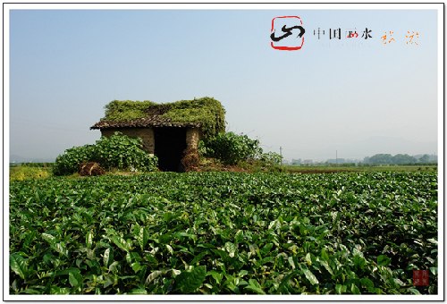 麗水：山清水秀靈毓地