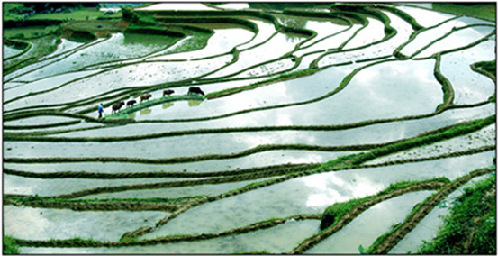 麗水：山清水秀靈毓地