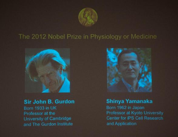 英、日科學(xué)家分享2012年諾貝爾生理學(xué)或醫(yī)學(xué)獎(jiǎng)