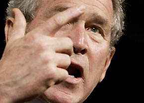 bush