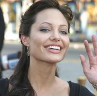 Jolie leaps into 'Kung Fu Panda'