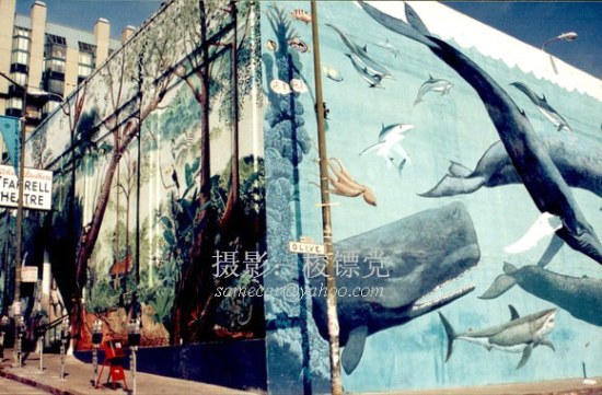 流落情感到街頭：近距離看北美街頭壁畫