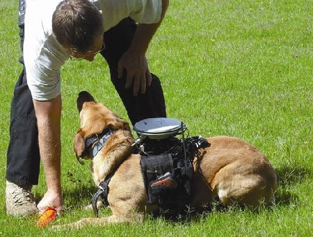 美科學家開發(fā)新型導航器助愛犬回家
