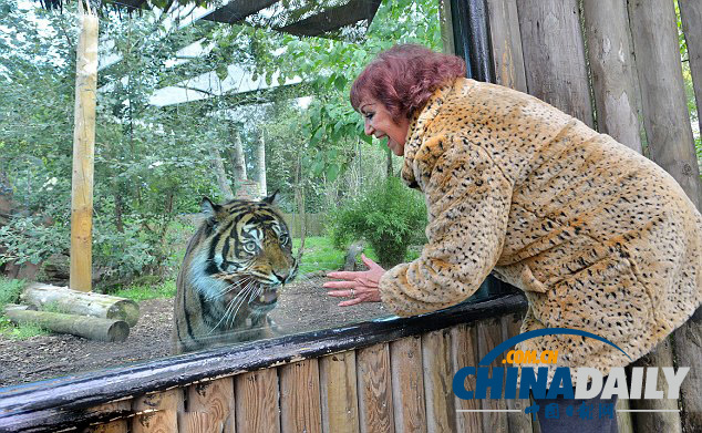英動(dòng)物園禁游客穿豹紋防動(dòng)物困惑